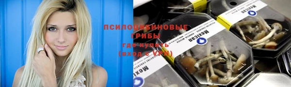 меф Гусь-Хрустальный