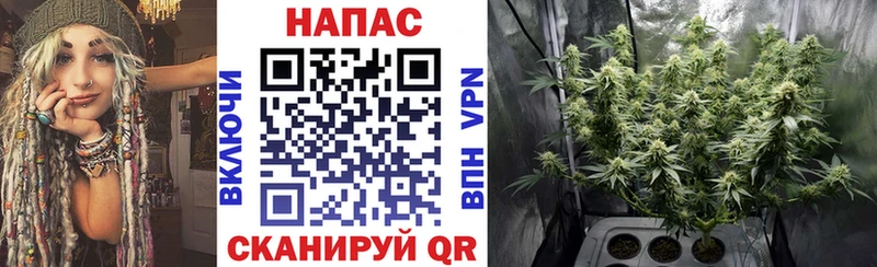 купить   Оленегорск  Канабис планчик 